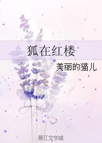 红楼婢女生存日常