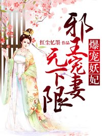 假面骑士龙骑美版