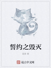 美妙教师系列合集