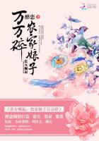 律师的后花园