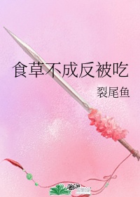 陀枪师姐2