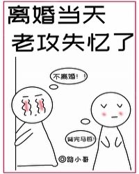 衣香txt下载