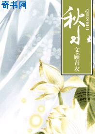 掀起老师短裙进入