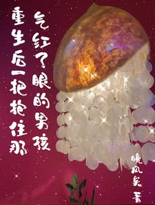 麻衣神算子百度百科