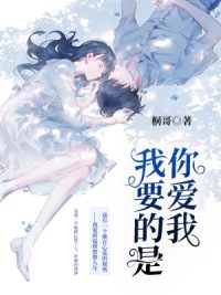 无懈可击之高手如林电视剧免费观看