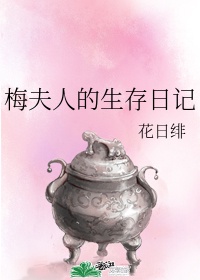 我是传奇小说