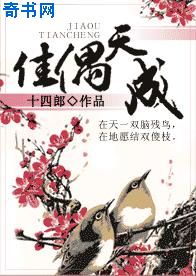 《他从远方来》舒远