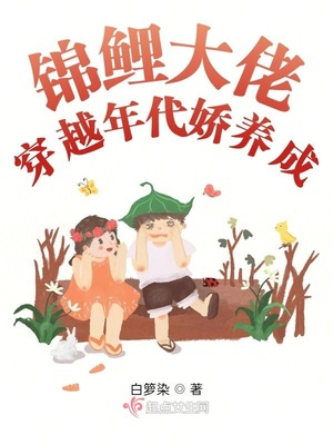 campbuddy飞机图片