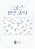 隐形将军