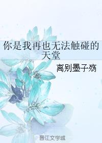 可以在线播放的a站seo