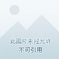 兔宝宝直播app 官方下载