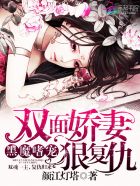 少女的心全文无删