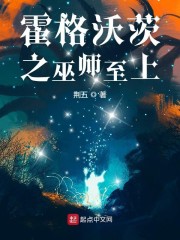 无懈可击之高手如林电视剧免费观看