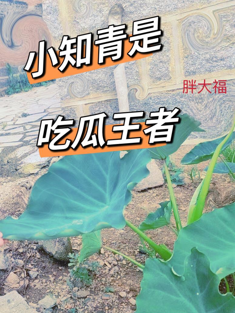 满级大佬掀棺后快穿笔趣阁