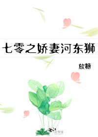 女律师的堕落