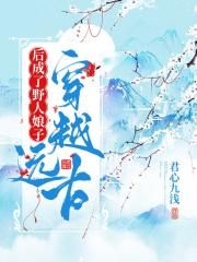 胜算电视剧40集免费完整版