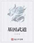 无敌三脚猫