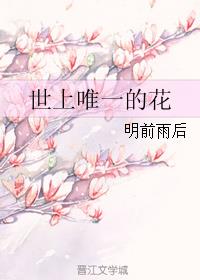 乱云飞渡完整版