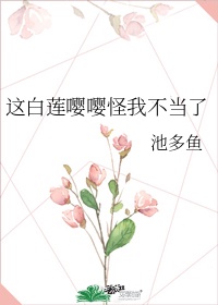 美女律师洛云的沉沦