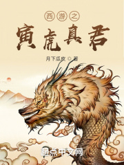 魔刀丽影小说