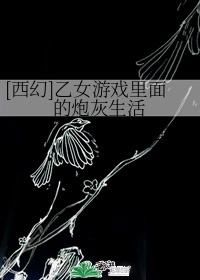 老阿姨bilibili