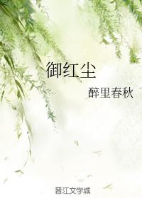 陈风柳婉全文阅读免费阅读