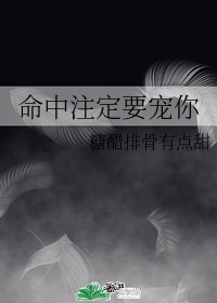 百度合伙人app