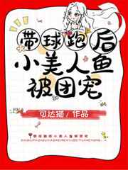 东北往事之黑道风云20年有声小说