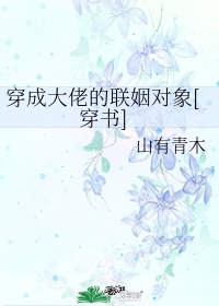 向日葵站长统计