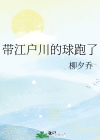 将军夫人的当家日记