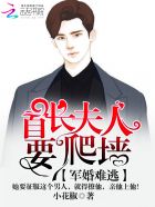 绍兴师爷电视剧免费观看