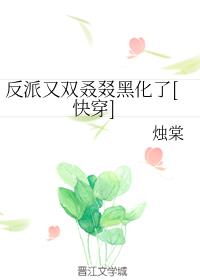 桃花村的女人txt