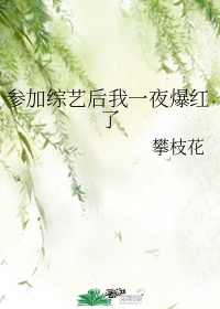 丁丁小姐