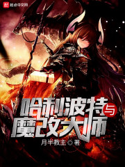 绝色神偷无删减完整版