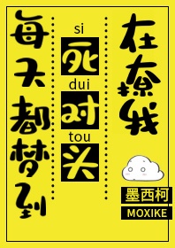 野鹅敢死队续集