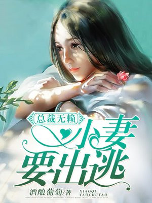 海贼王汉化heitai