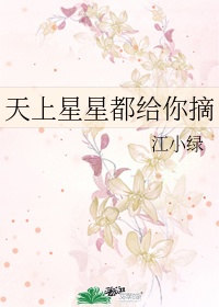 霹雳警花李虹全文