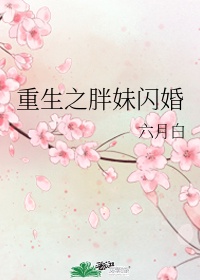 琼明神女录免费