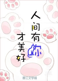 《下厨房》金银花免费阅读