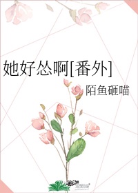 学长别C我了我在写作业