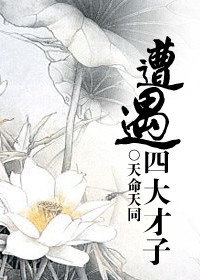 打字机n号作品集