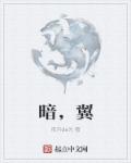 金梅瓶无删减版pdf