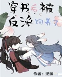 淑女的欲望完整版