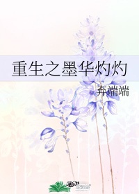 师傅的傻丫头全文