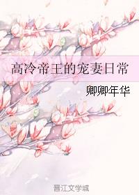 放荡教师淑敏全集阅读