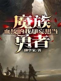 阿轲和小兵的那张图26集