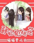 三妻四妾完整版免费观看