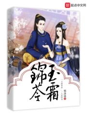 真三国无双5攻略