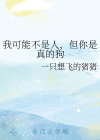 校花的贴身高手txt全文下载