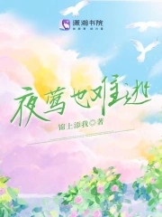 绝命毒师第二季